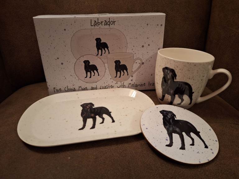 Black Labrador Dog Mug Coaster Tray Boxed Gift Set New BNIB