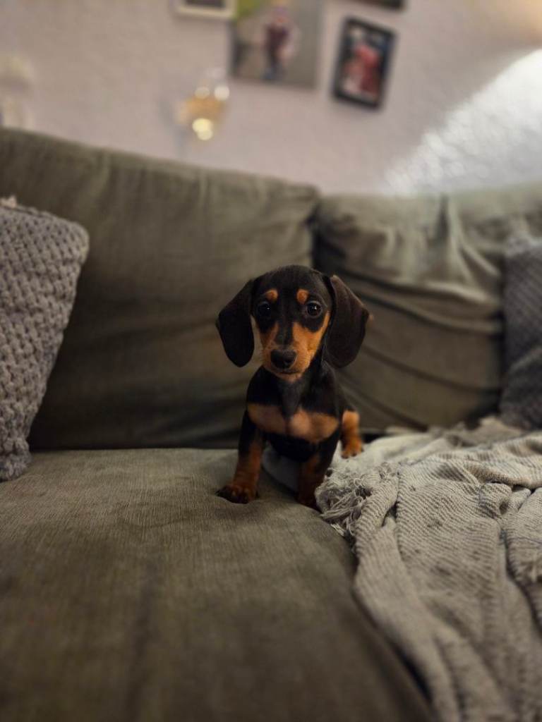 Last boy and girl available 