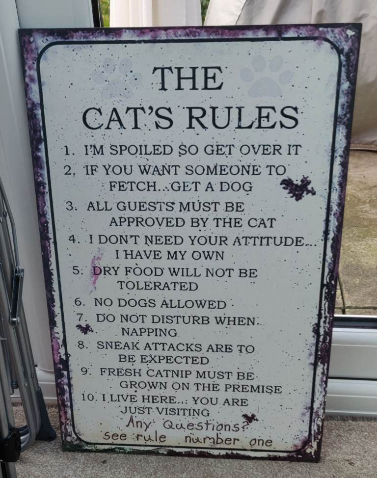 Funny cat rules sign for summerhouse 