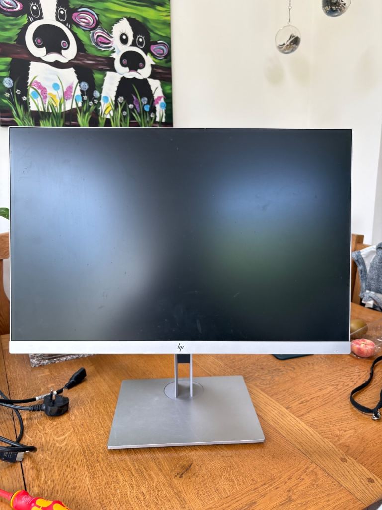 HP monitor