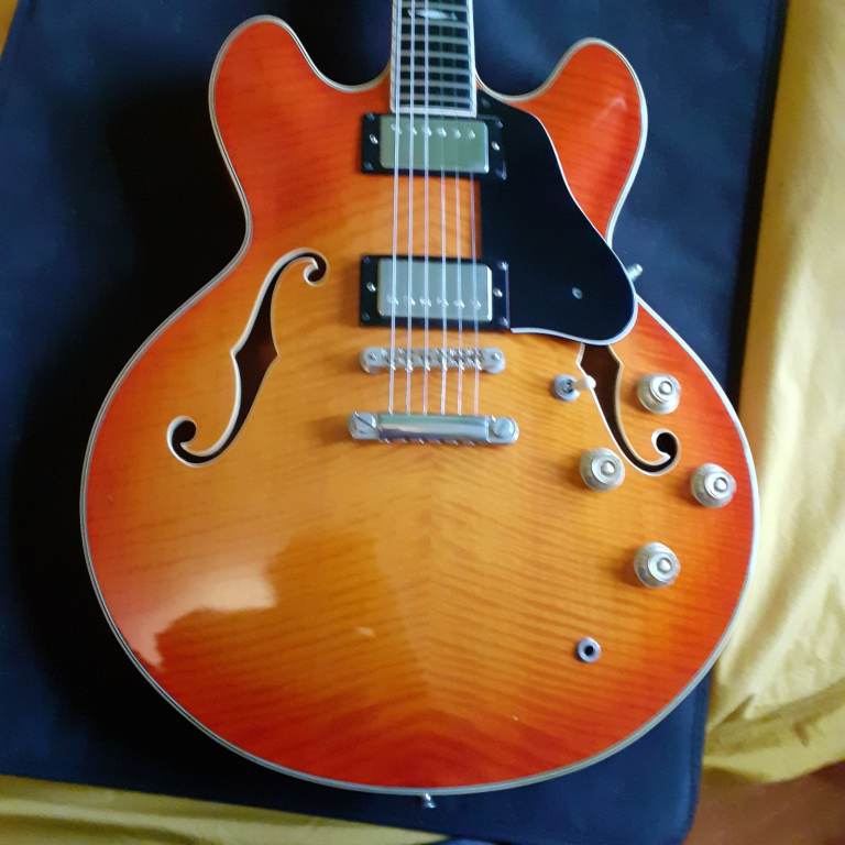 Vesta Graham vgd 1500 guitar