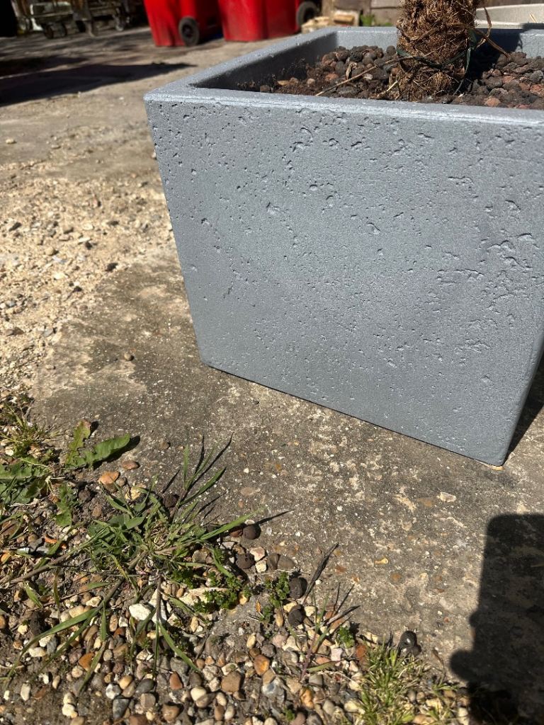 Large plant pot 