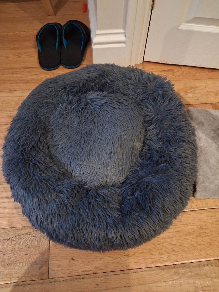 Brand new cat/doggie bed