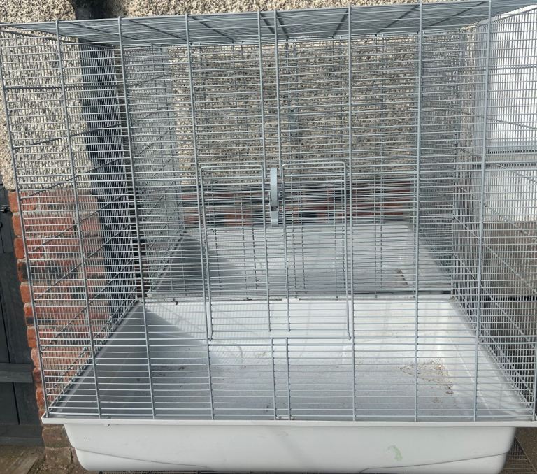 Rat cage