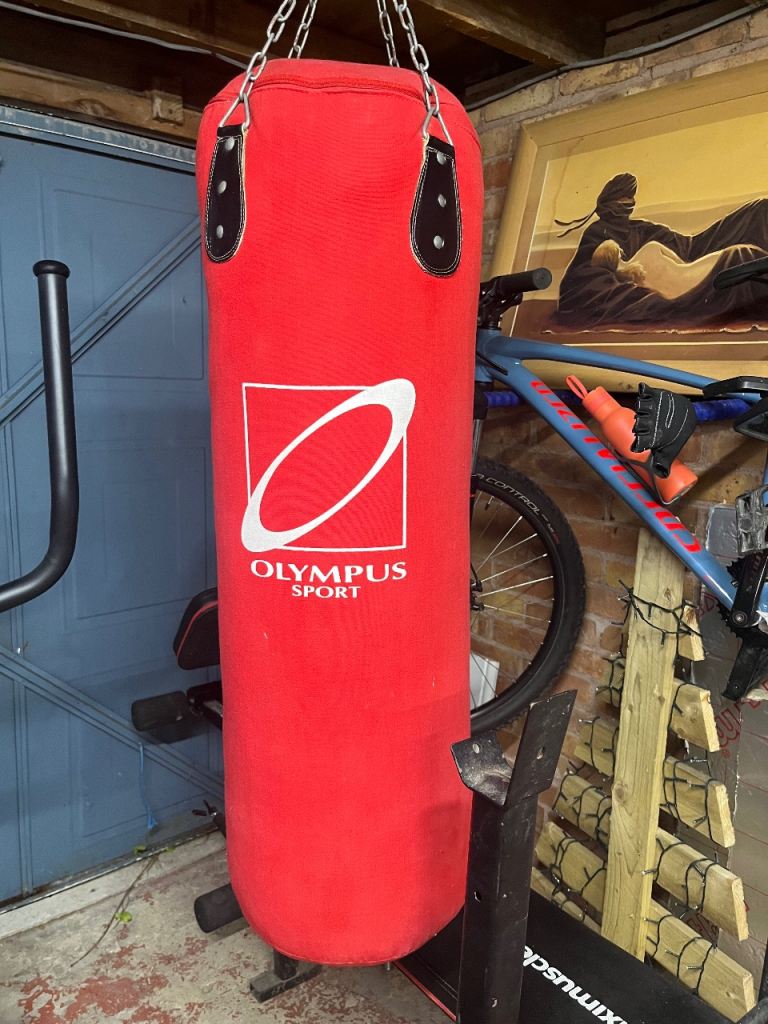 Olympus sport punching bag 