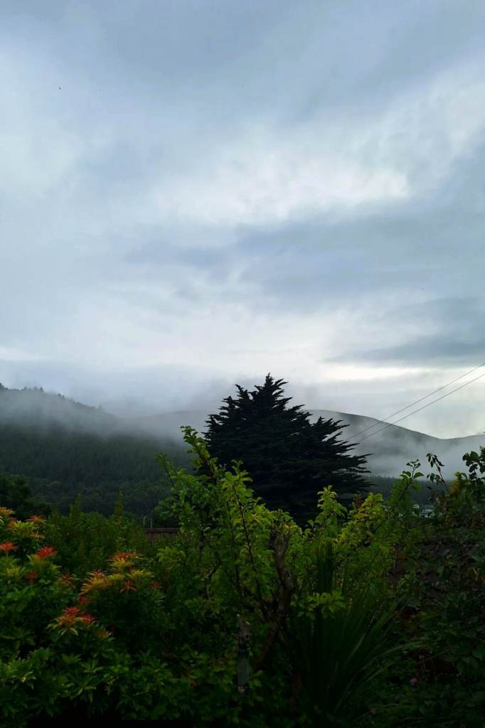 Room to rent Newcastle co down