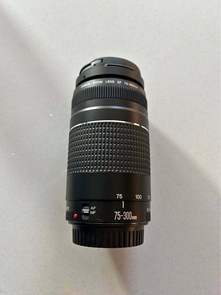 Canon EF 75-300mm  f/4-5.6 II  Telephoto Zoom Lens
