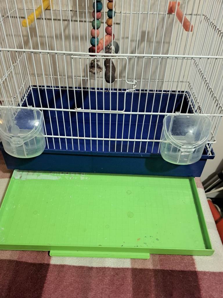 Bird cage 