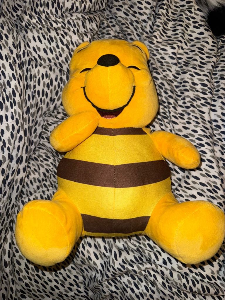 Winnie the Pooh (won in a vending machine in Japan)