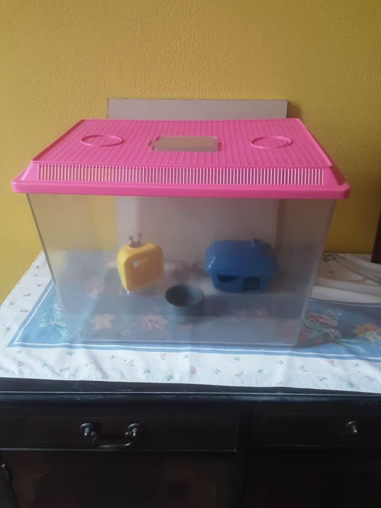 Hamster or gerbil  tank cage  with  accessories. 