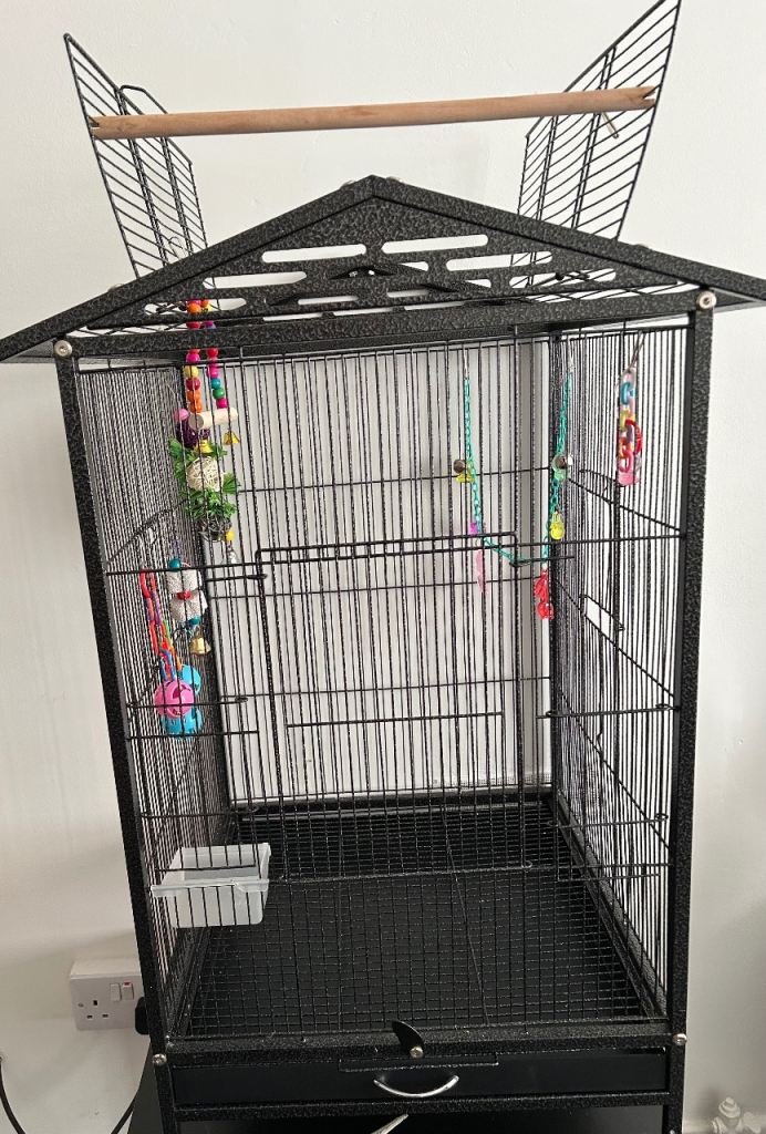 Large Open top Birdcage 