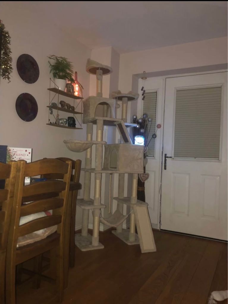 image for Floor to ceiling cat hotel