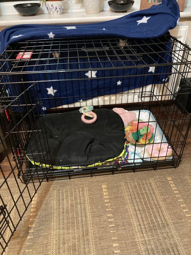 New medium dog crate