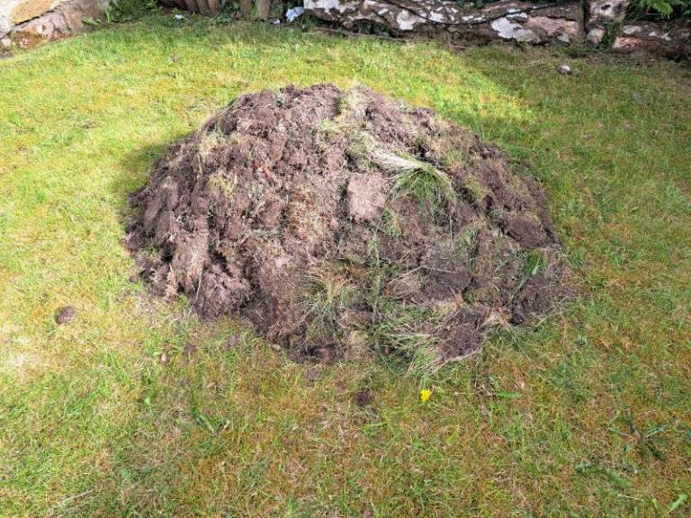 Free Soil mixed with grass 