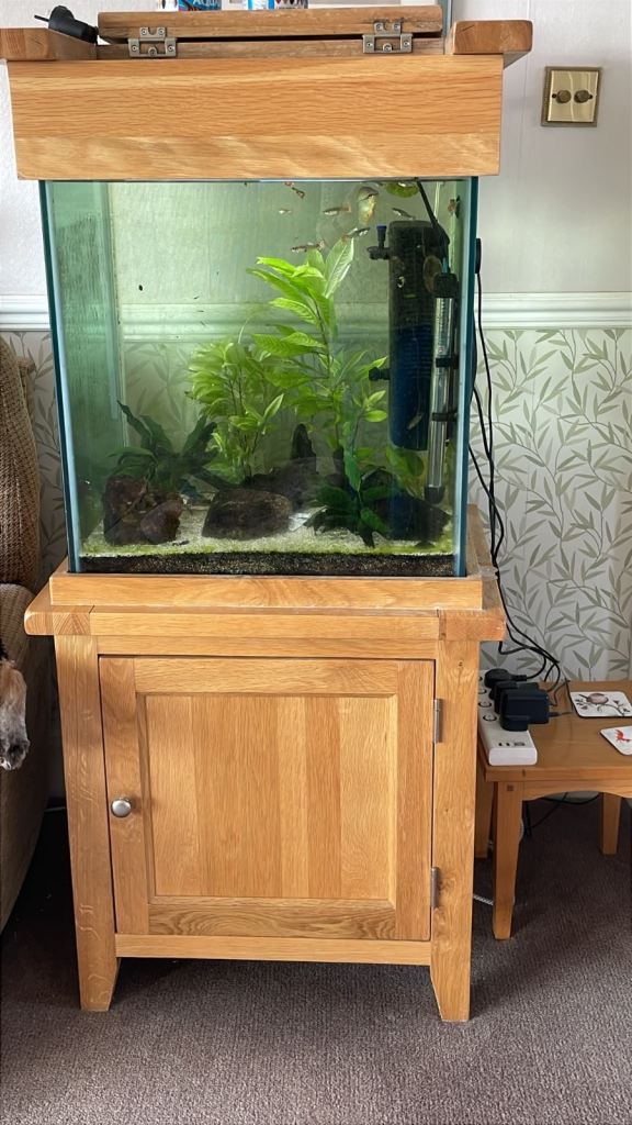 150L Fish Tank & oak Cabinet