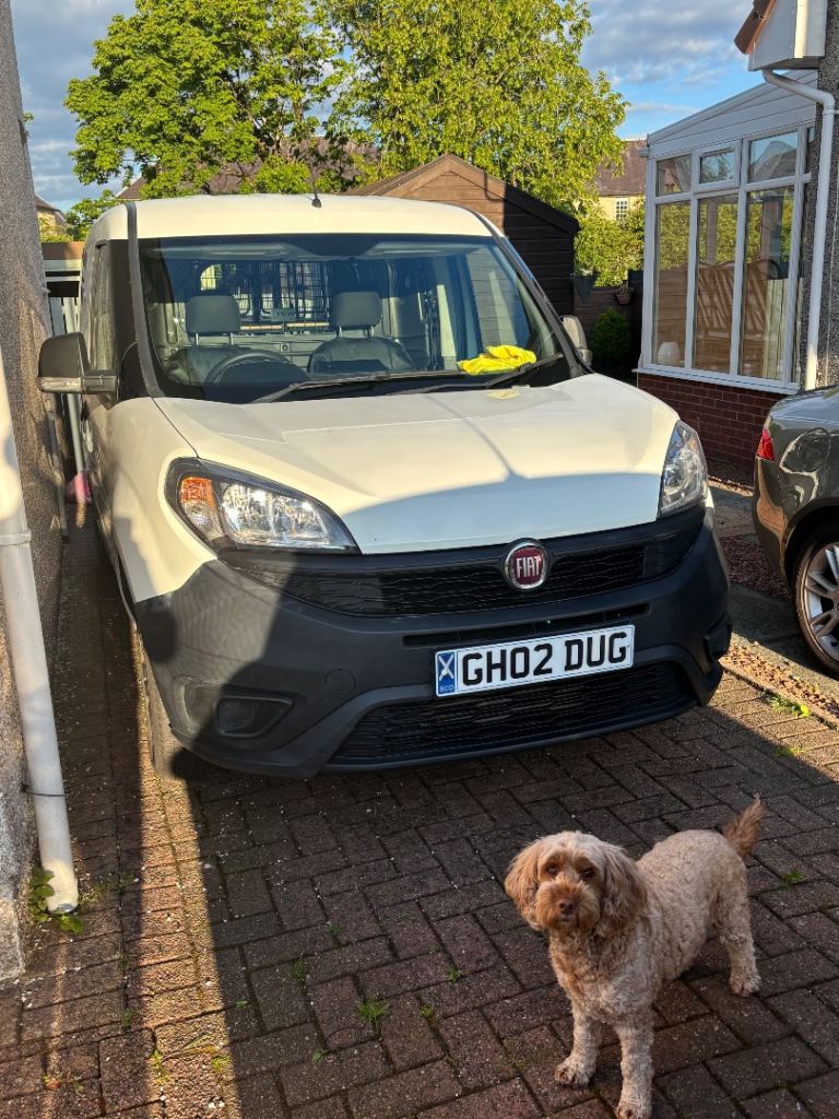 Fiat Doblo Dog Walking Van with Custom Crates