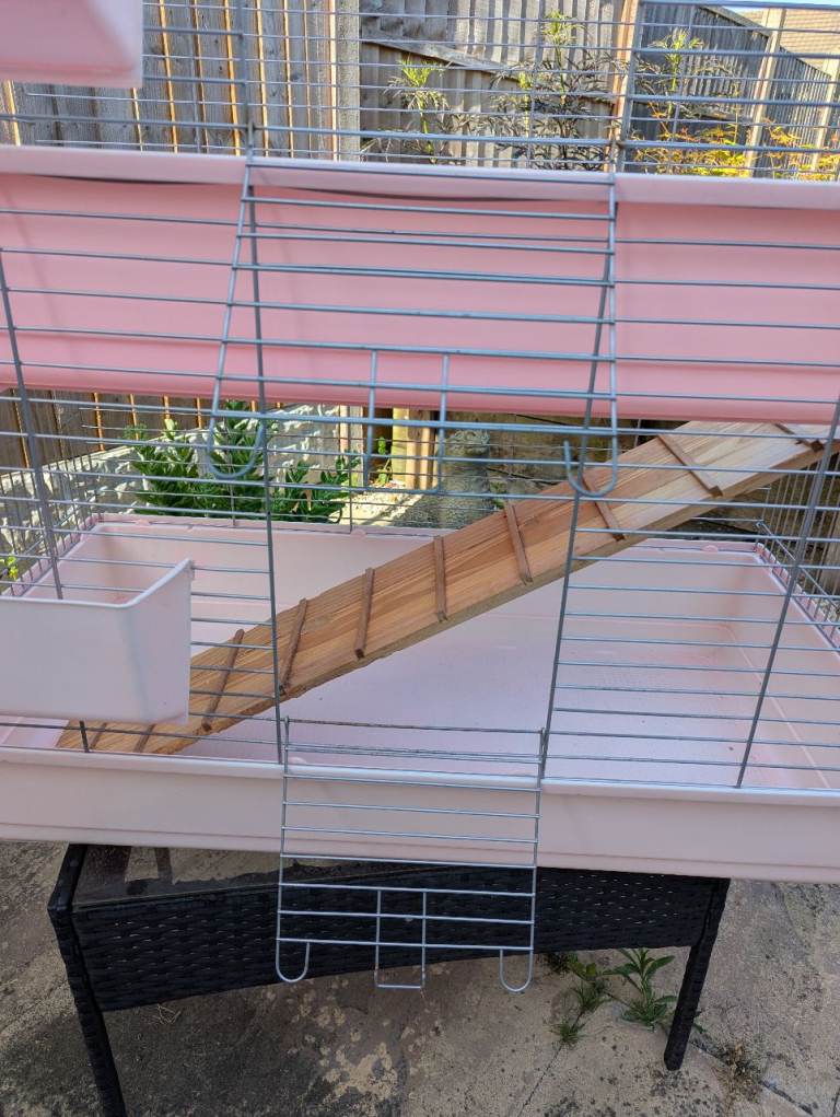 Guinea Pig Cage 