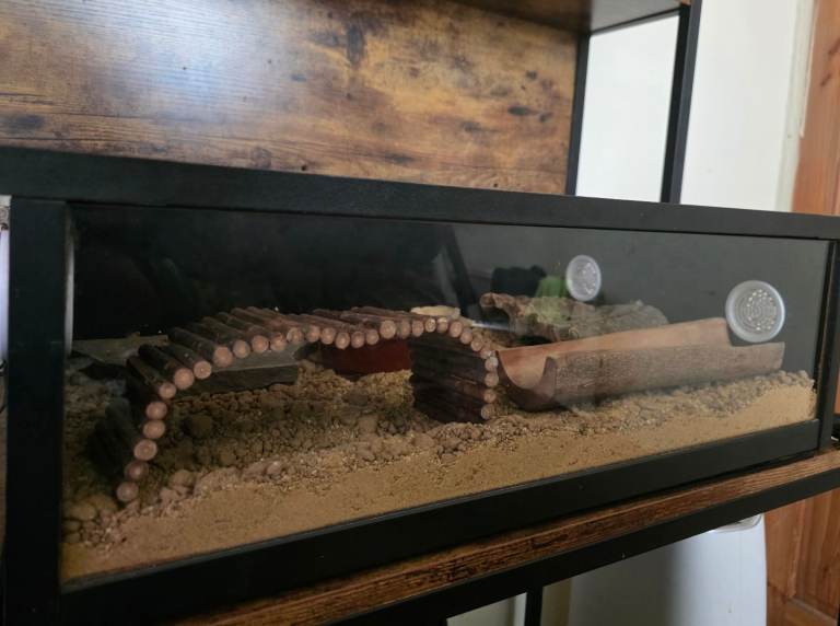 Small Reptile enclosure