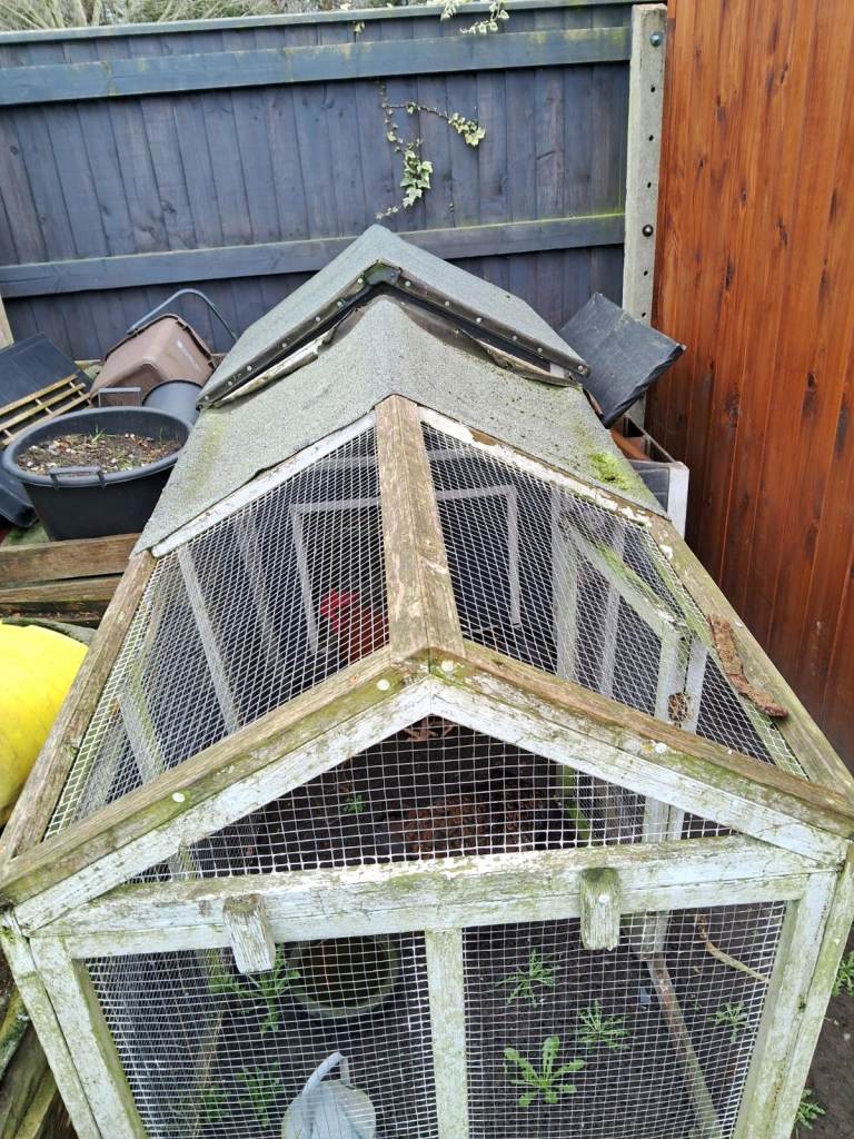 FREE CHICKEN COOP WITH RUN