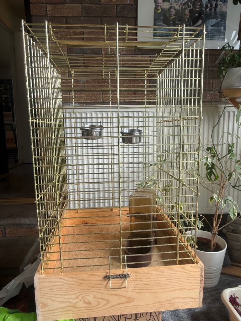 Cockatiel, small parrot cage 