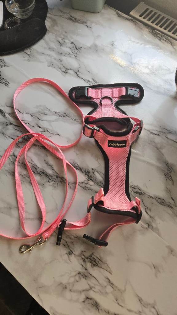 Cat harness and lead set xs