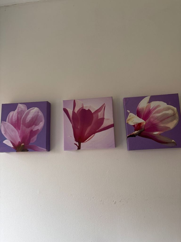 Pictures