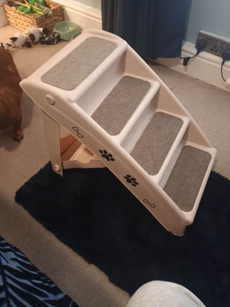 Dog steps 