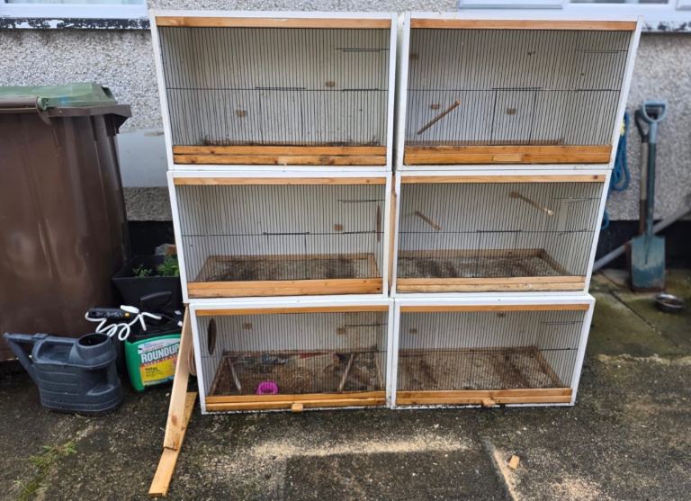 For Sale