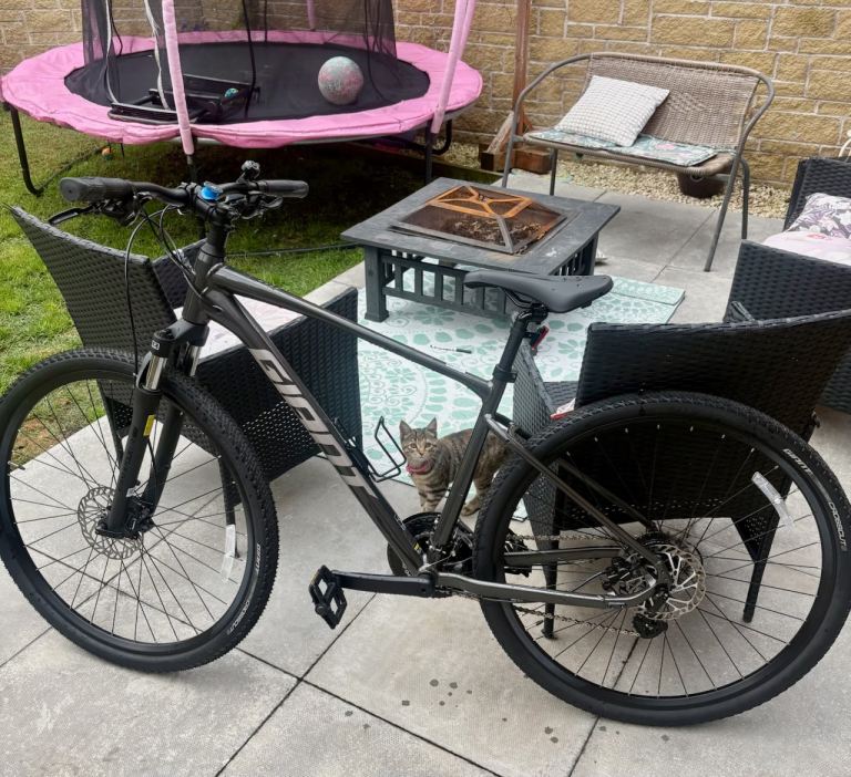 Giant Roam 4 Hybrid Sports Bike - Medium (2026 Model) - Dark Grey