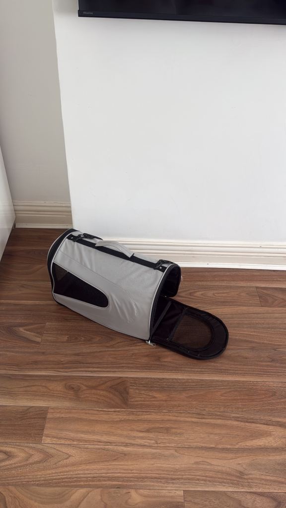 Pets at Home cat carrier
