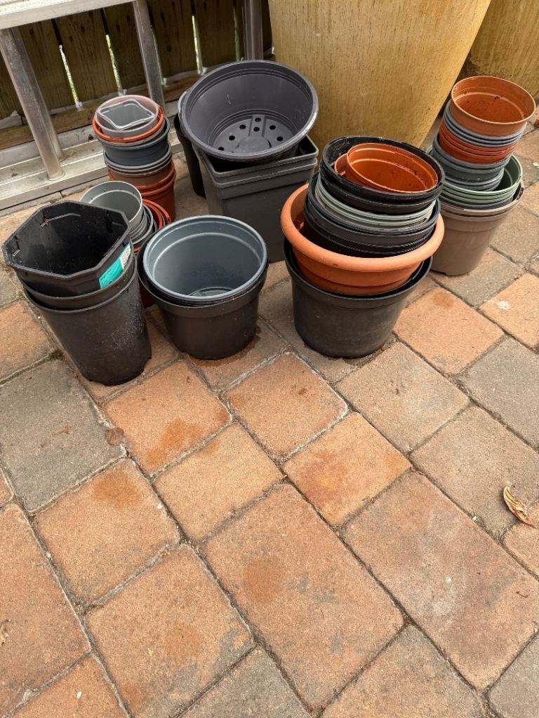 Large collection plastic plant pots