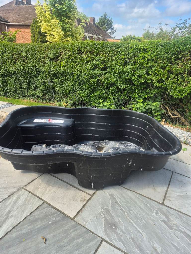 Fish pond 