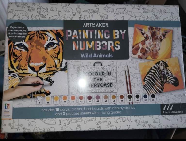 image for Paint by numbers