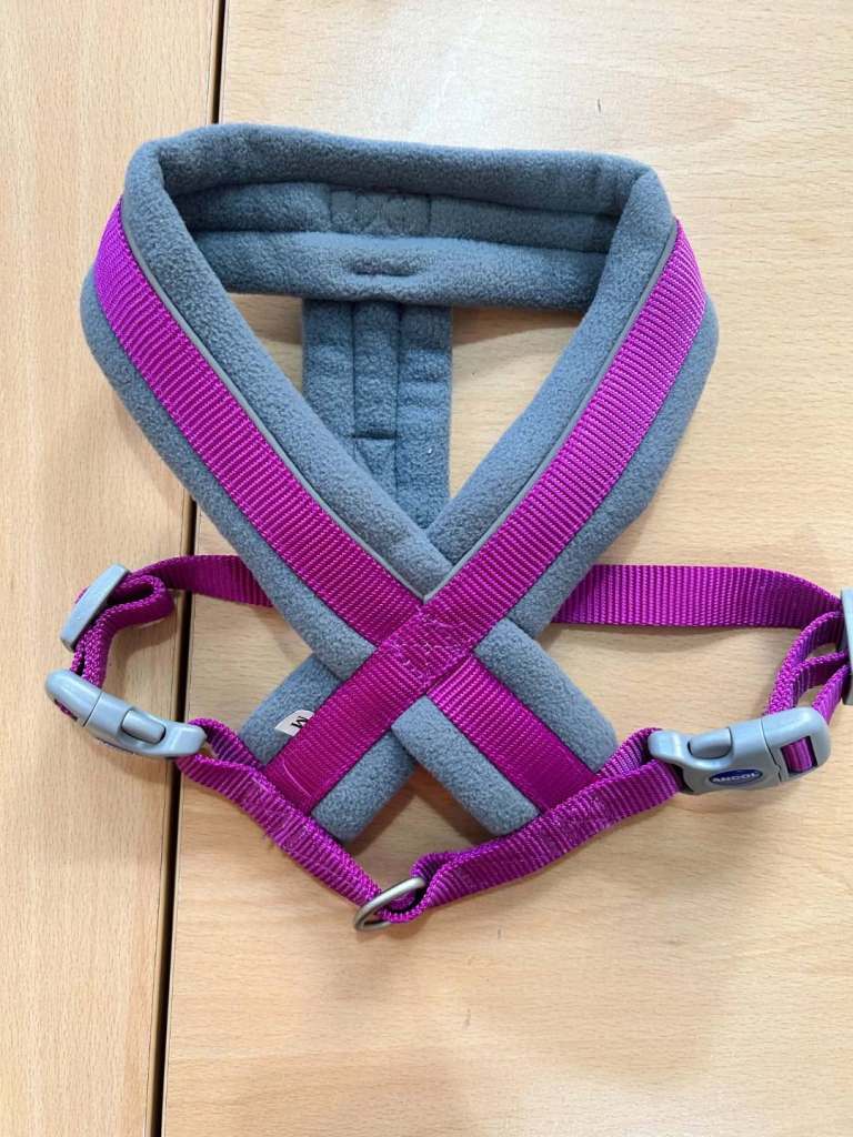 Dog Harness