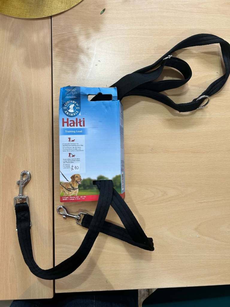New Dog Training Lead
