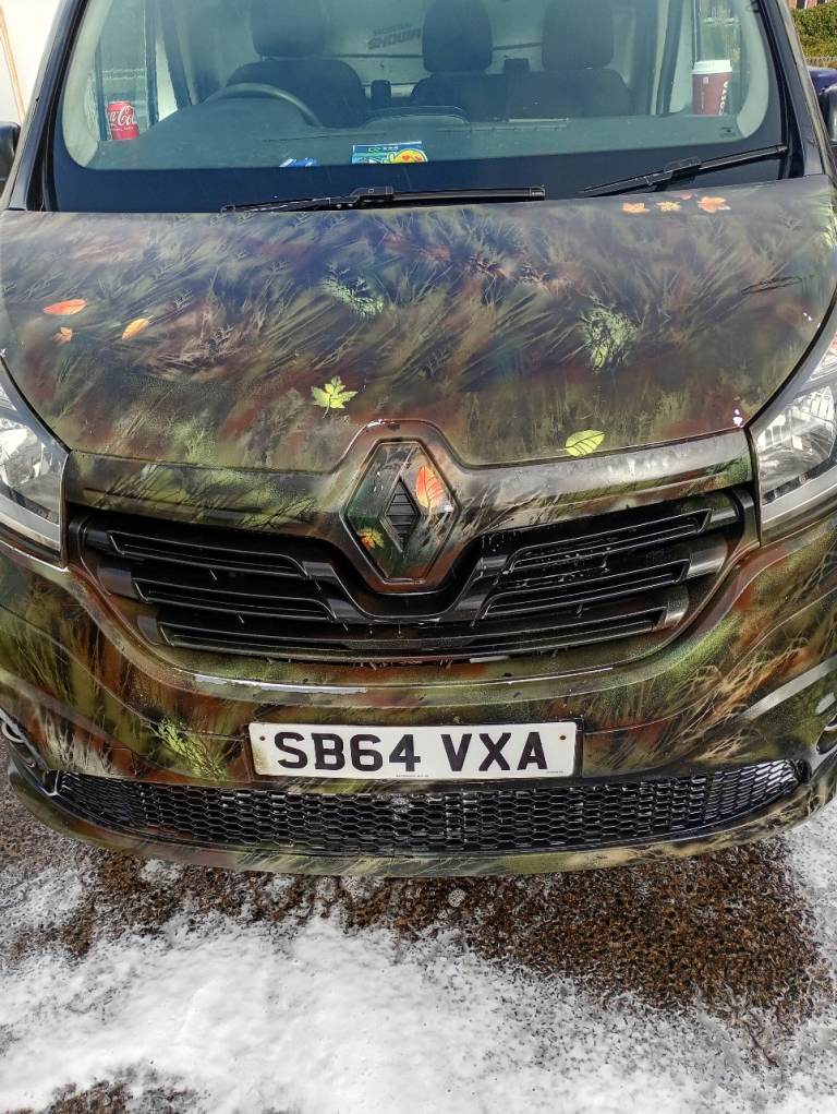 Renault, TRAFIC, Panel Van, 2014, Manual, 1598 (cc)