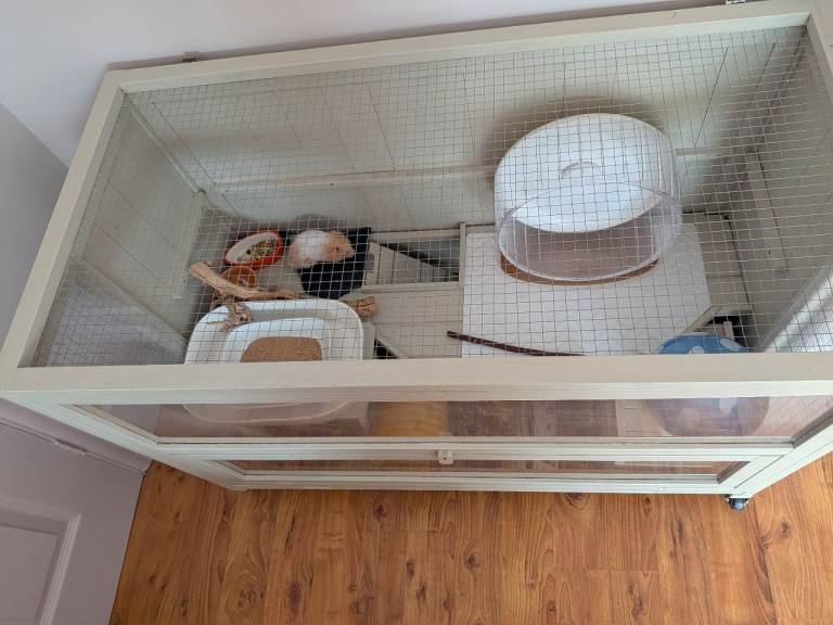 FULL Hamster Set Up 