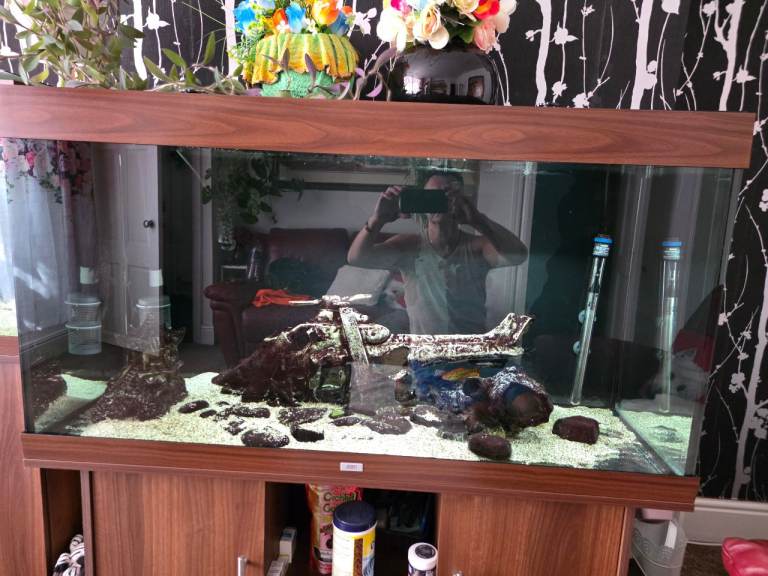 Fish tank Juwel Rio 300