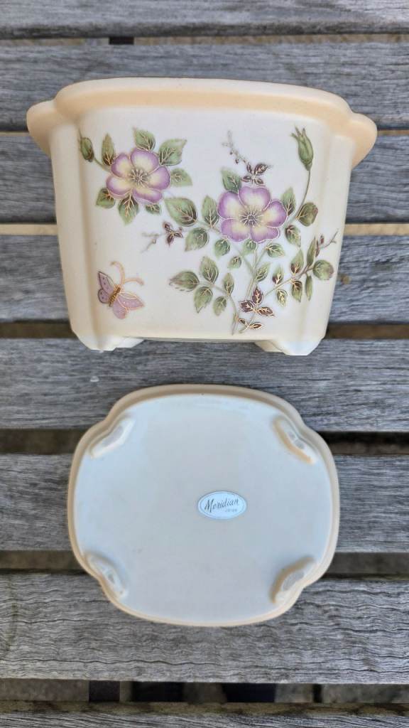 2 stylish plant pots