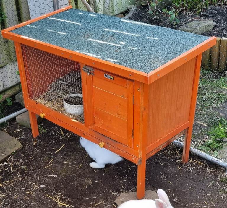 rabbit hutch 