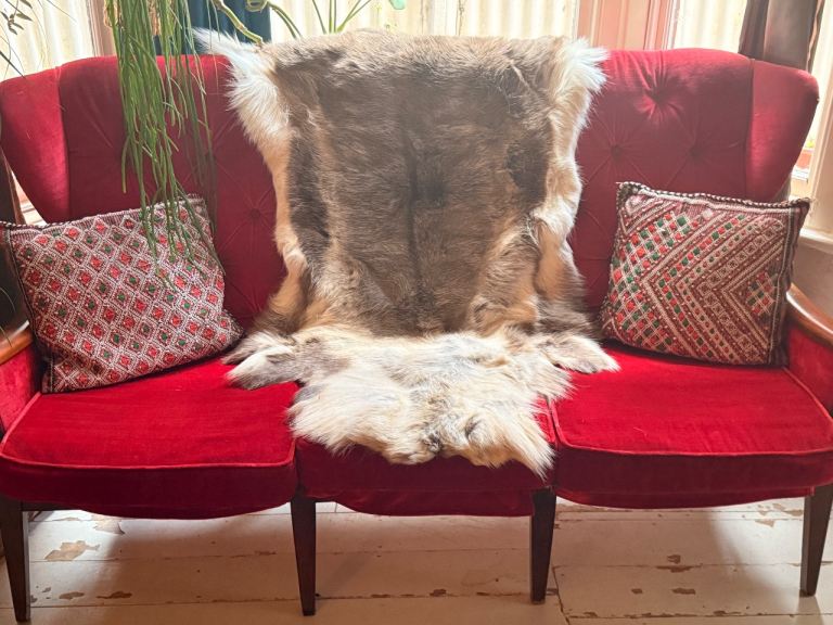 Reindeer fur