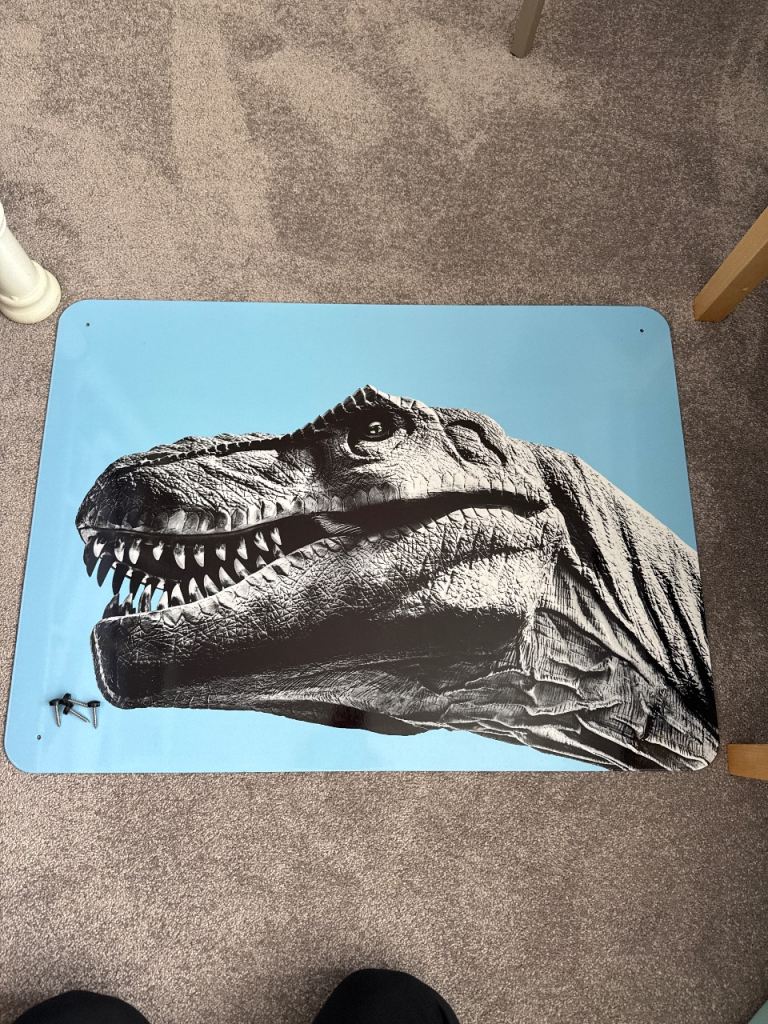 Dinosaur - Large Magnetic Notice Board/Wall Art