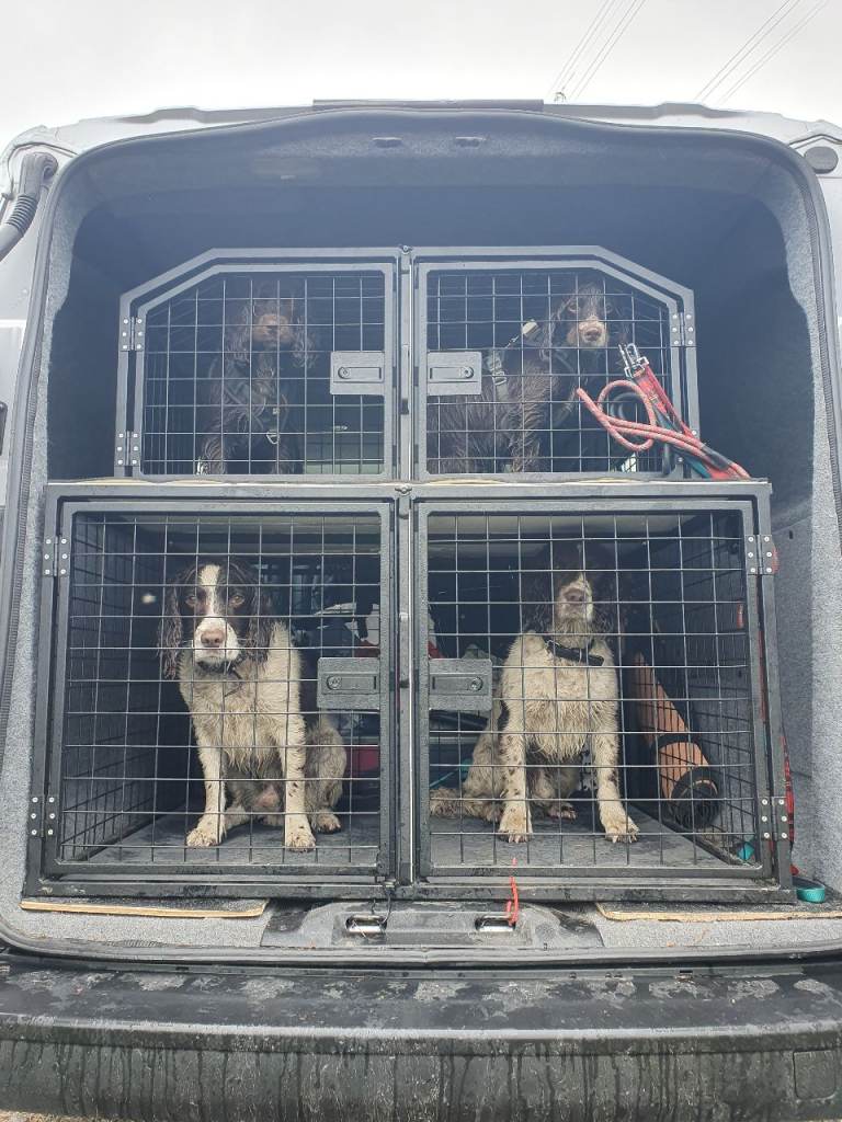 Set of 4 crates 