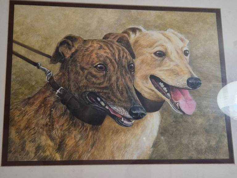 Pair of Lurcher Dog Art Prints – Framed, Glazed, Multicoloured