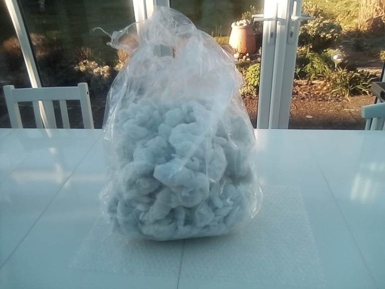FREE: Large bag of new/unused polyester toy stuffing. 