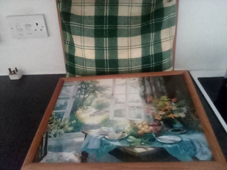 2 cushion lap top trays with green check base