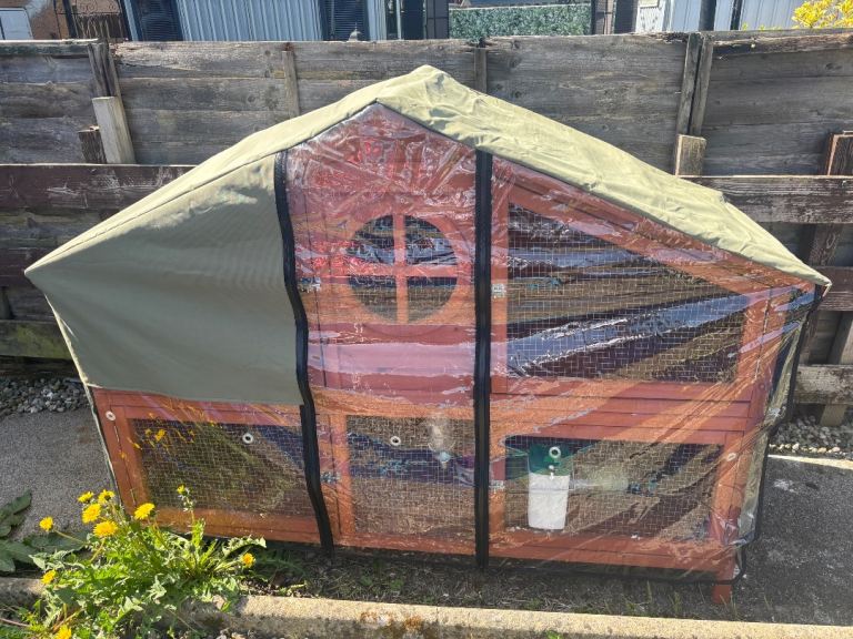 Rabbit/Guinea Pig Hutch and heavy duty cover