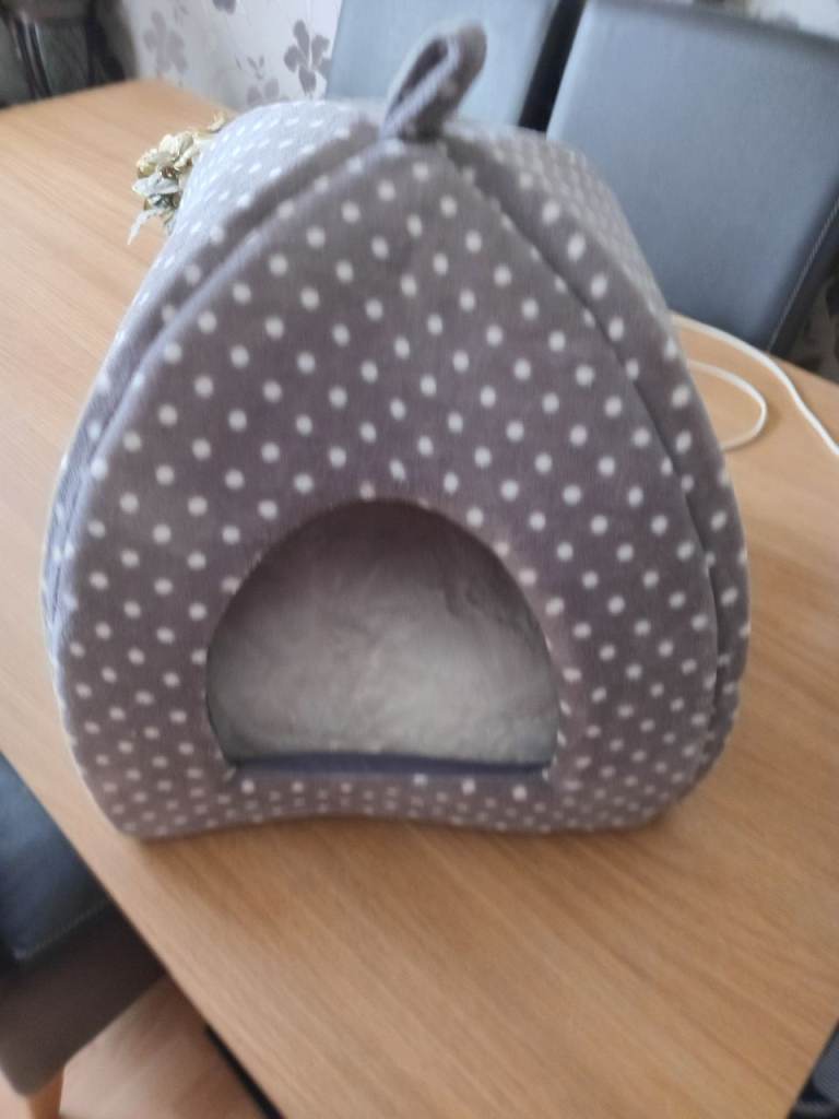 Cat bed