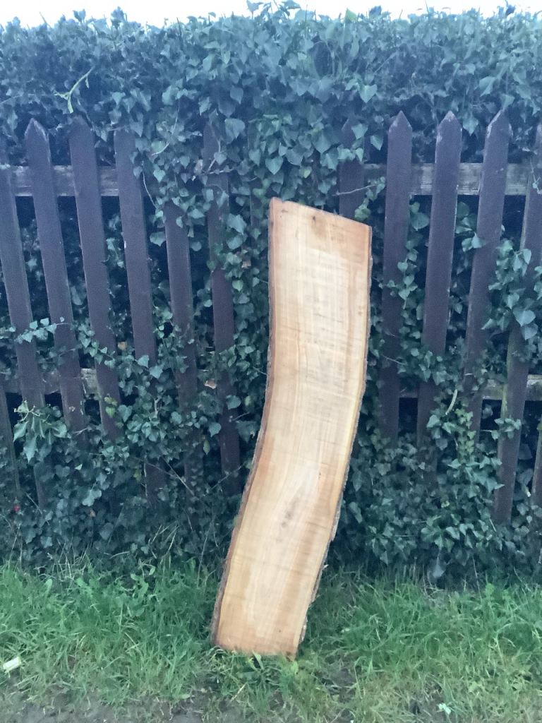 Elm Boards 6 Boards fresh cuts