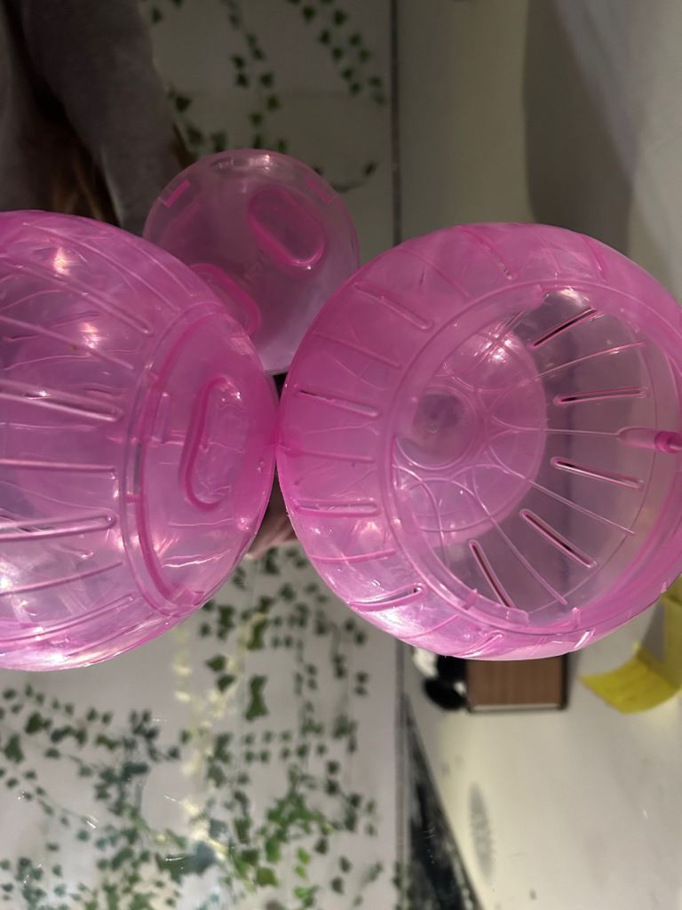 Hamster Exercise Ball/ Run-about ball(for hamster)